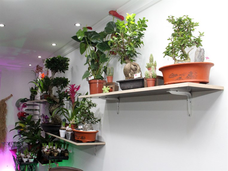 Opening of Zanbak Flower Boutique 